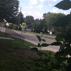 Meet your Posher, Fallon